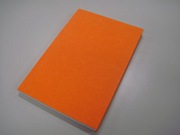 orangebook.jpg